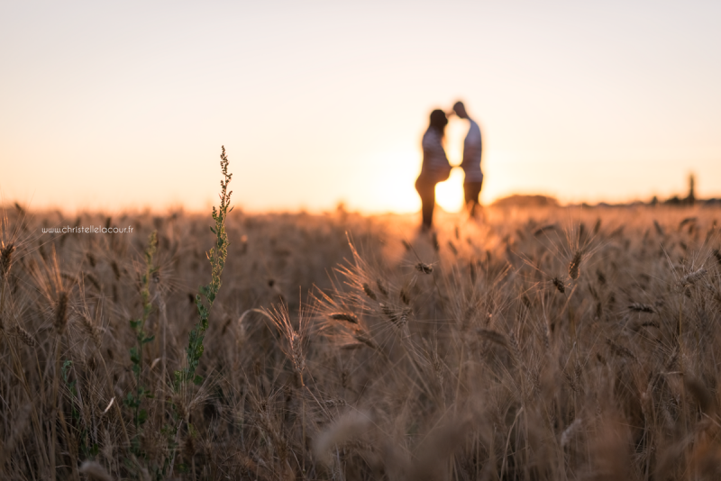 Séance photo de grossesse près de Toulouse au coucher de soleil dans un champ de blé