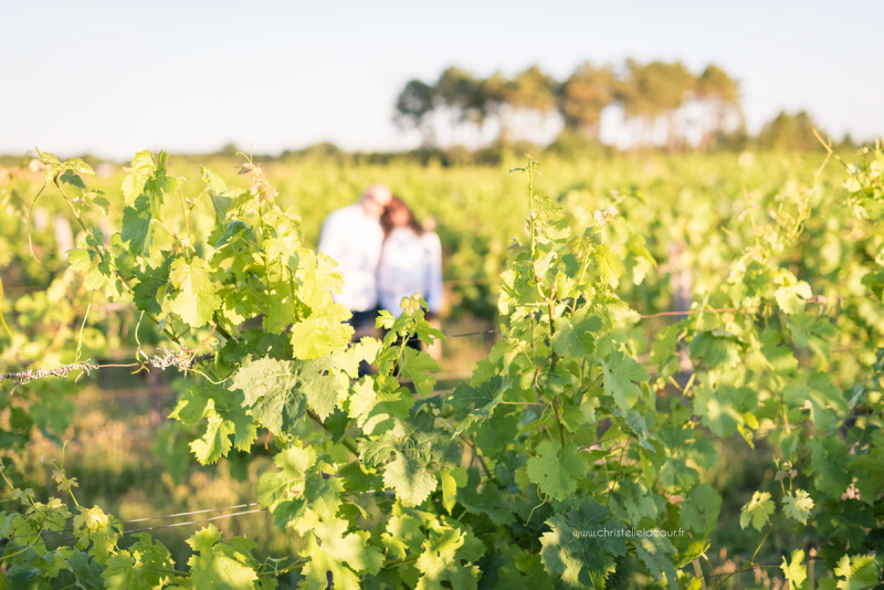 Séance grossesse dans les vignes près de Toulouse, lumière dorée sur les feuilles de vignes de Fronton