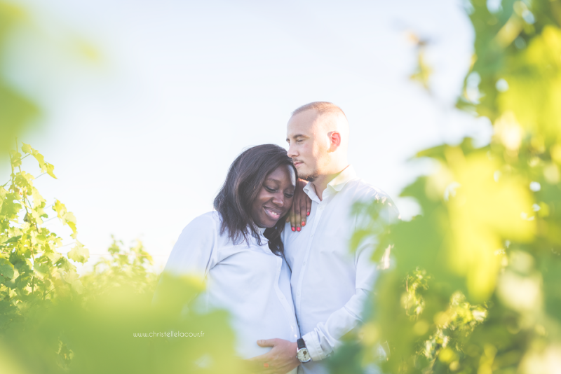 Photographe de grossesse à Toulouse, gestes tendres des futurs parents cachés entre les vignes au coucher de soleil un soir d'été